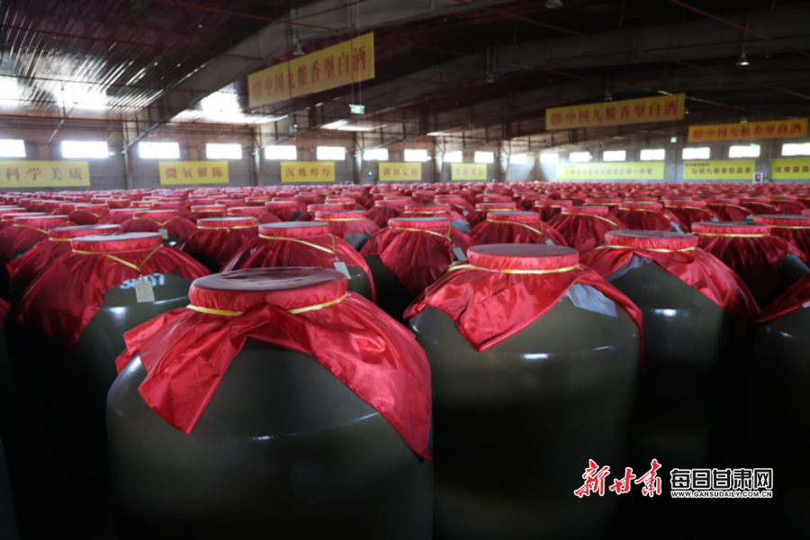 【网络媒体看张掖】 九粮精心酿造 窖香成就品质 滨河集团品牌底蕴助力高质量发展