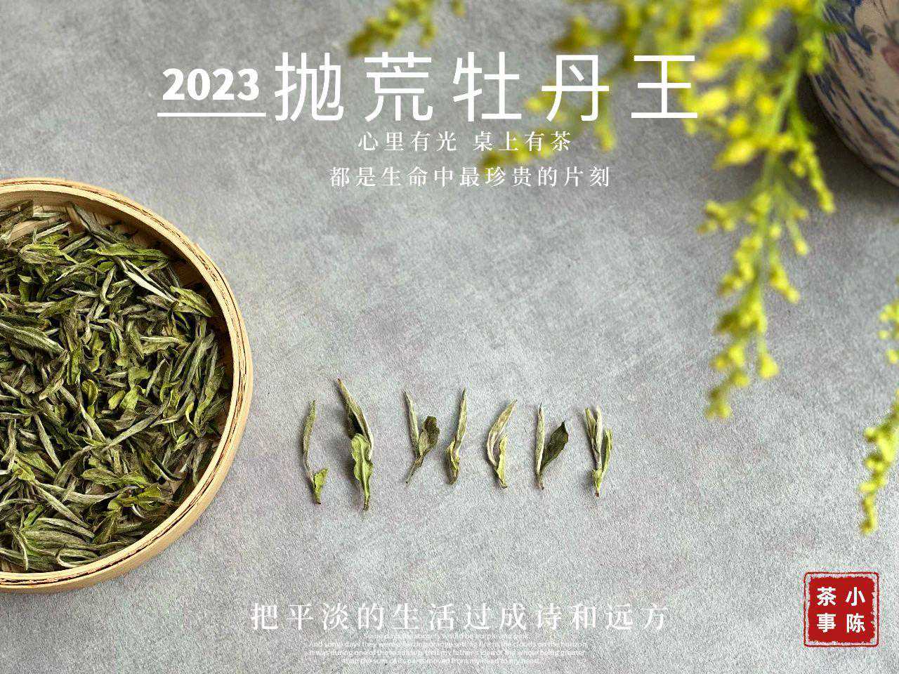 白茶和绿茶的4点区别，别再只会说“差不多”了，真的不一样