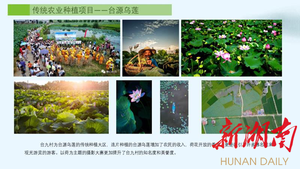 “台莲”飘香惠农家——衡阳县台源镇特色发展纪实